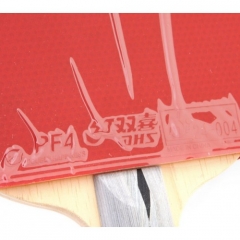 Ракетка DHS A3002