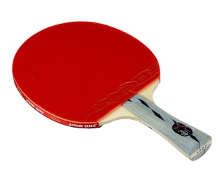 Ракетка DHS A3002. Купить ракетку DHS A3002 в Москве | Winspin