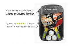 Теннисный стол Giant Dragon Sunny 700