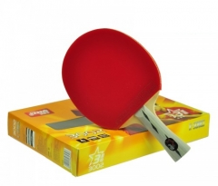 Ракетка DHS A3002