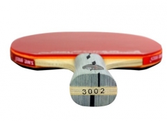 Ракетка DHS A3002