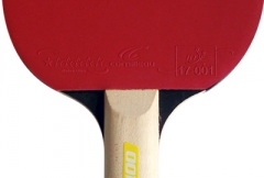 Ракетка Cornilleau Sport 100 Gatien